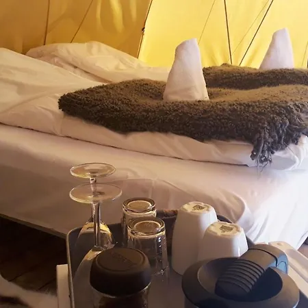 Dalen Gaard Og Lodge *